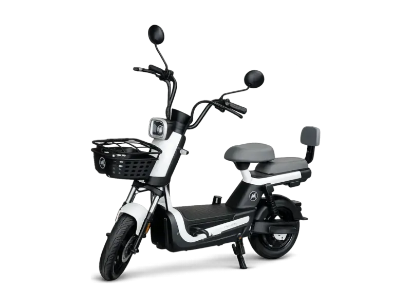 Bike MS 600