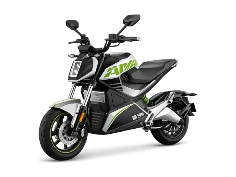 MS 2500